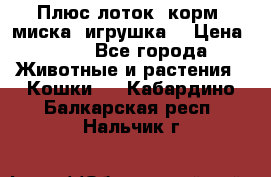 Плюс лоток, корм, миска, игрушка. › Цена ­ 50 - Все города Животные и растения » Кошки   . Кабардино-Балкарская респ.,Нальчик г.